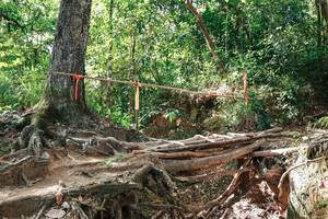 BIB: 
                            <button type="button" onclick="openModal(27718105)" class="btn btn-primary btn-sm float-right btn-popup" data-toggle="modal" data-target=".modal-high-quality">
                        <i class="fas fa-shopping-cart"></i> Add to Cart
                    </button>
                                            <button type="button" onclick="isThisMe(27718105, true)" class="btn btn-success btn-sm float-right btn-popup btn-isme hidden" data-toggle="tooltip" data-placement="bottom" title="นี่คือรูปของคุณใช่ไหม คลิกที่นี่เพื่อเอาเข้าอัลบั้ม">
                        <i class="fas fa-plus"></i> Add to album
                    </button>
                    <button type="button" onclick="isThisMe(27718105, false)" class="btn btn-warning btn-sm float-right btn-popup btn-isnotme hidden">
                        <i class="fas fa-ban"></i> Remove from album
                    </button>